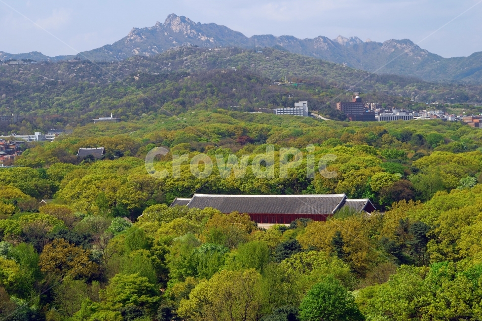 종묘,정전,서울,세계문화유산,문화유산,숲,한국,문화재,풍경,산,북한산,사적,하이앵글,건축,건축물,고건축,전통건축,한국전통,한국문화,korean traditional,korean culture,랜드마크,landmark,tourist attraction,한국랜드마크,한국관광지,한국명소,korea landmark,korea tourist attraction