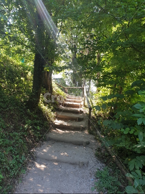 계곡,협곡,슬로베니아,빈트가르,gorge,valley,vintgar,빛,숲,햇빛,나무,자연,풍경,경관,landscape,path,오솔길,숲길,자연,풍경,nature,landscape,garden,정원,outdoors,옥외,arbour,정자