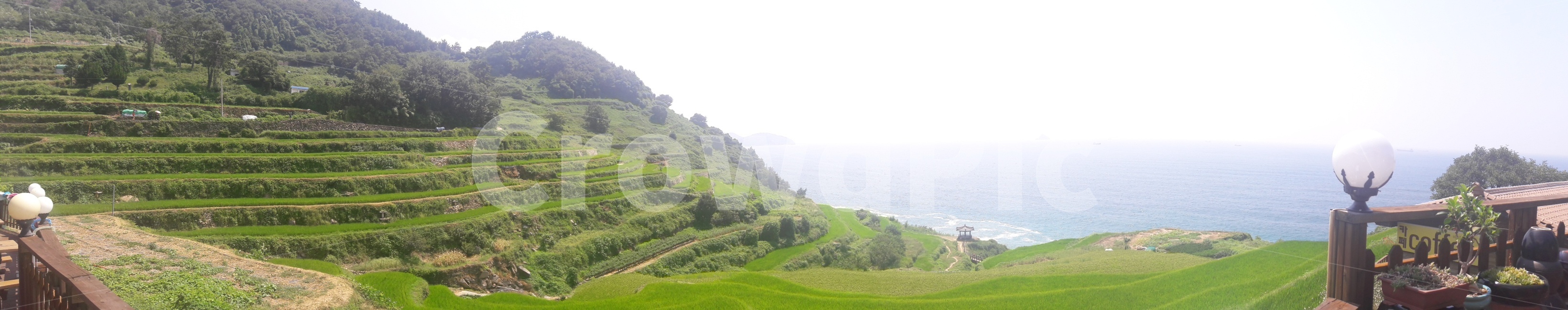 옥외,자연,들,파노라마,바다,자연,풍경,nature,landscape,outdoors,field