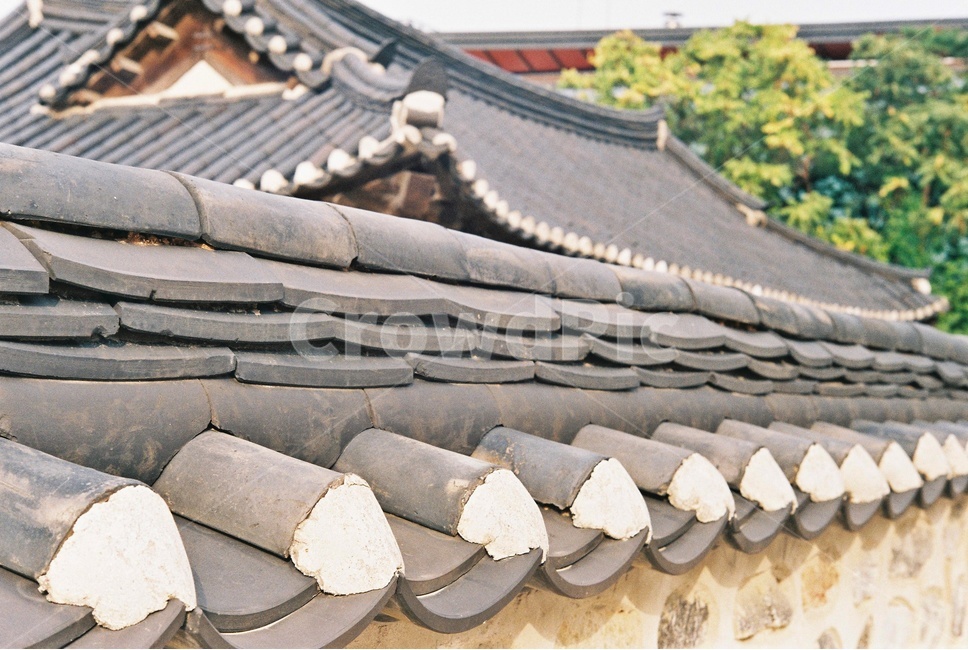 한옥,기와담장,rooftile,wall,koreanstylehouse,기와집,tileroofedhouse,한국전통,한국문화,korean traditional,korean culture,건축물,건물외관,exterior,building,structure,architecture,construction