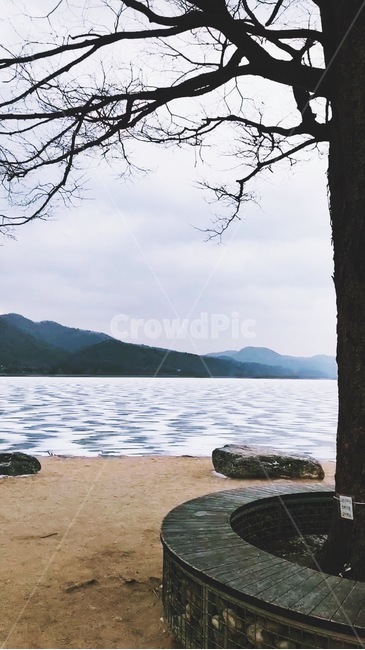 풍경,나무,자연,겨울,양평