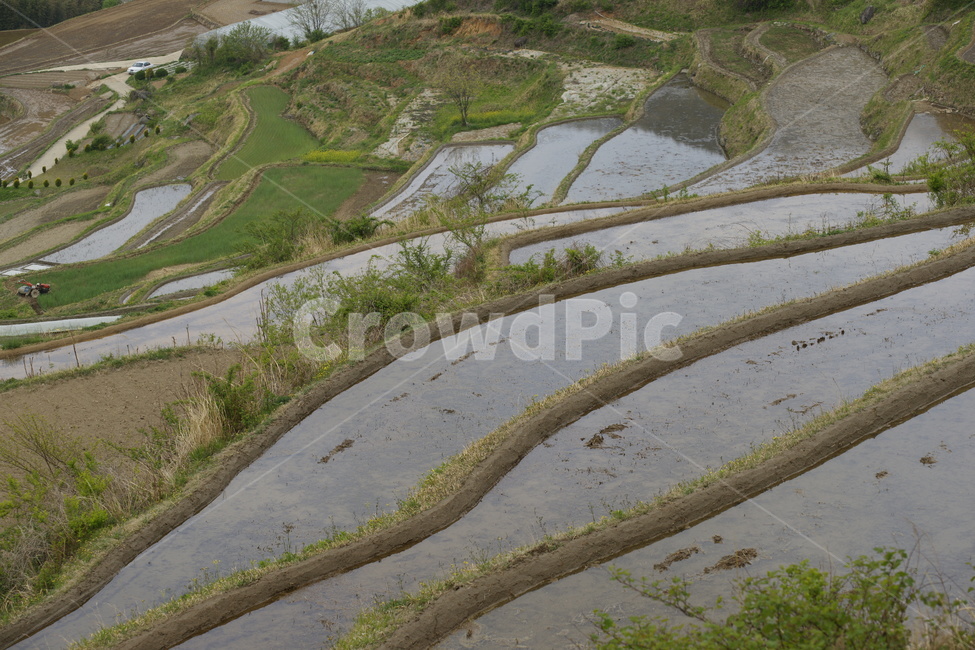 다락논,시골,모내기,농사,합천,자연,풍경,nature,landscape,산업,industry,industrial,농업,농사,agriculture,farming,farming industry,outdoors,옥외,경치,scenery,aerial view,조감도