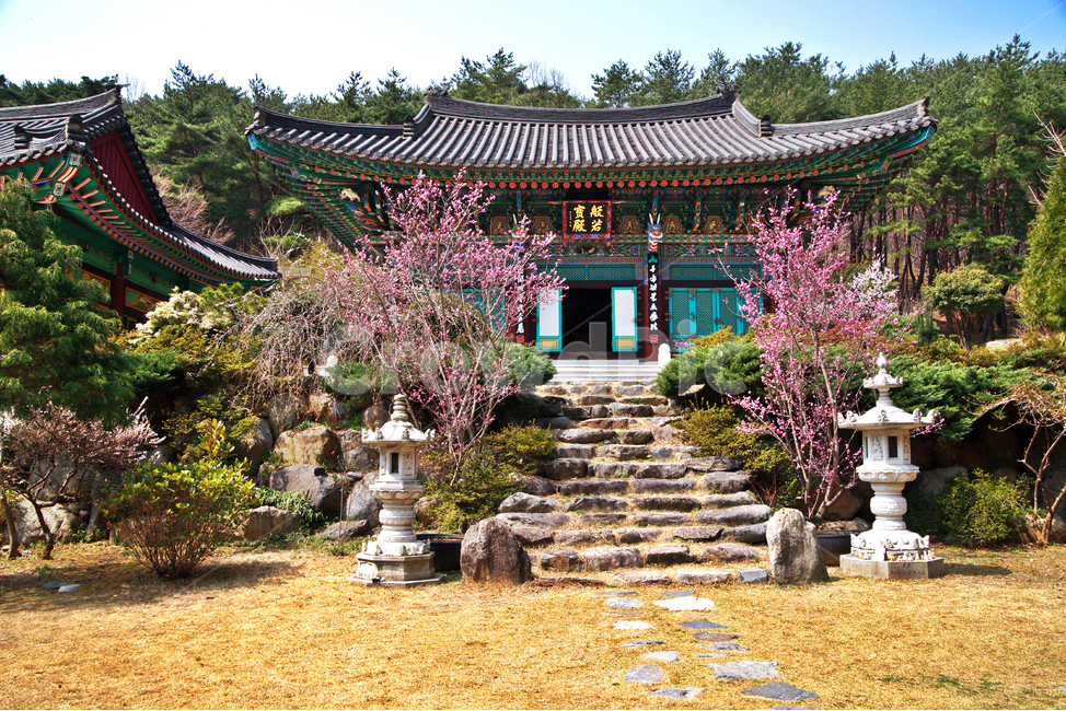 반야보전,지장암,통도사,말사,산내암자,산사,암자,법당,봄,한국전통,한국문화,korean traditional,korean culture,종교,신앙,religion,belief,faith,건축물,건물외관,exterior,building,structure,architecture,construction