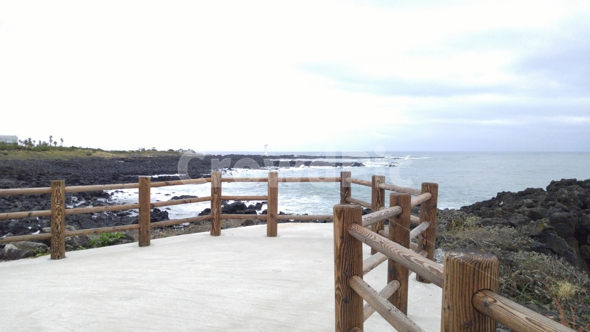 제주도,바다,해안,해변,바닷가,바다가,sea,jeju,land,옥외,땅,파도,길,water,물,wood,나무,waterfront,워터프론트,제주도,jeju,jeju island