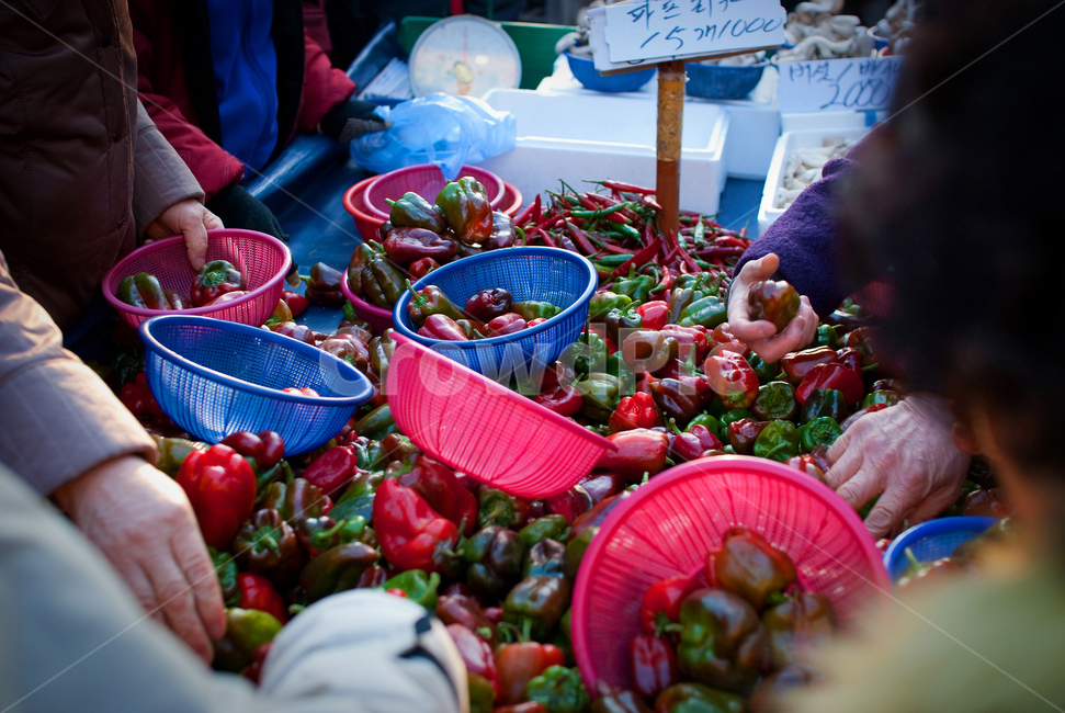 시장,파프리카,야채,재래시장,market,marketplace,장터,person,사람,human,인간,paprika,시장,마트,마켓,market,mart,market place