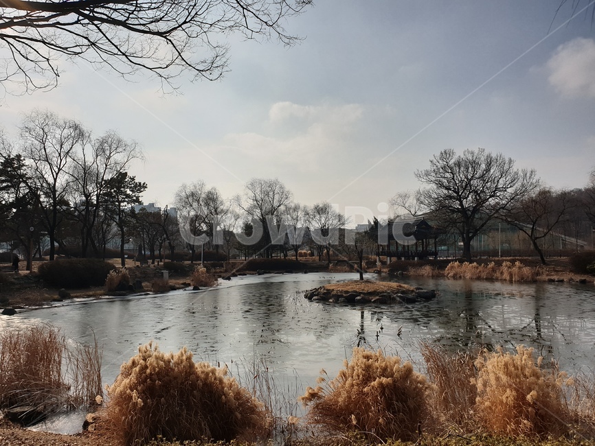풍경,정자,나무,자연,구름,하늘,가을,계절,fall,autumn,season,자연,풍경,nature,landscape,outdoors,옥외,water,물