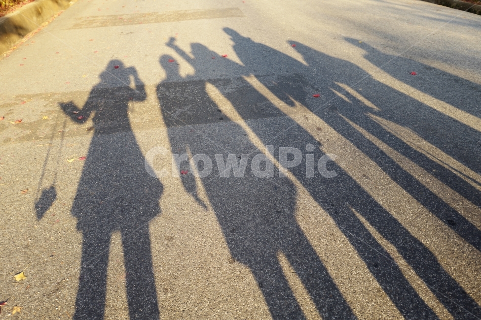 그림자,실루엣,인물,카메라,사진,가을,단풍,사람,인물,인간,human,person,인물실루엣,사람실루엣,character silhouette,human silhouette,친구,우정,friendship,companion,asphalt,아스팔트,road,도로,rug,깔개