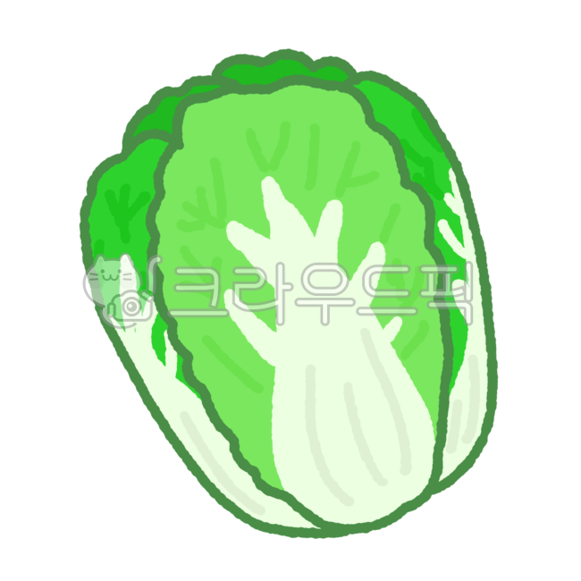 food, 음식, vegetable, 채소, 배추, 사진,이미지,일러스트,캘리그라피 - 춘심작가
