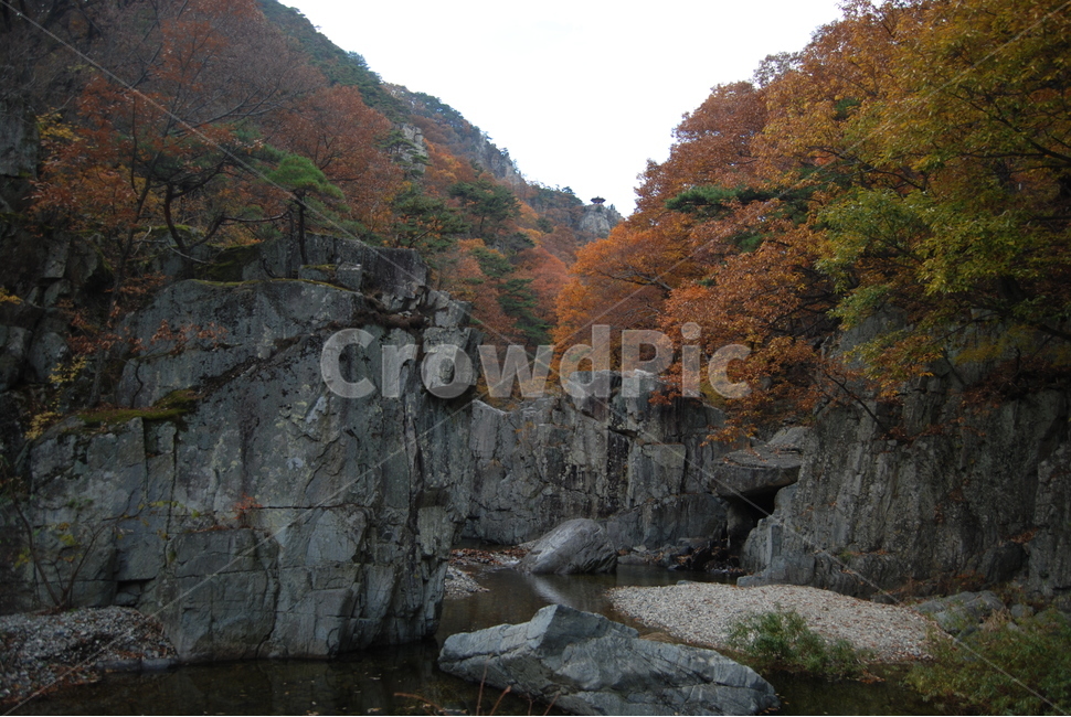 내연산,가을,풍경,등산로,단풍,자연,풍경,nature,landscape,한국자연풍경,한국자연경관,korea nature landscape,outdoors,옥외,cliff,낭떠러지
