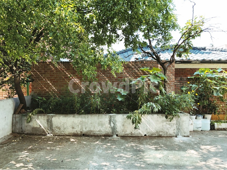 감성,햇살,sunshine,나무,wood,담벼락,wall,풍경,landscape,꽃,flower,식물,plant,시골,마을,풍경,landscape,country,rural,town