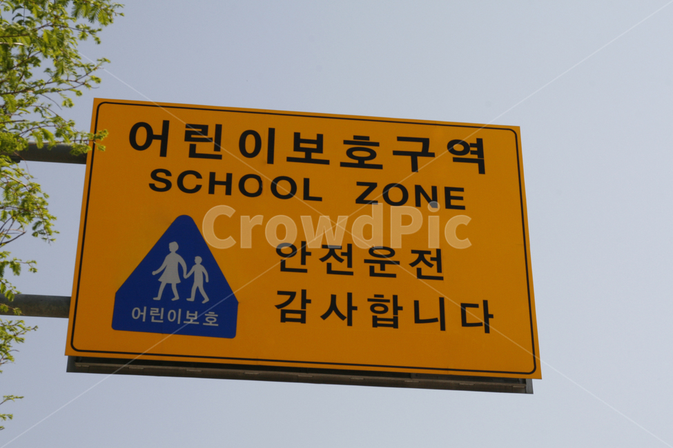 어린이,교통,보호구역,스쿨존,표지판,안내,횡단보도,교통,교통수단,traffic,transportation