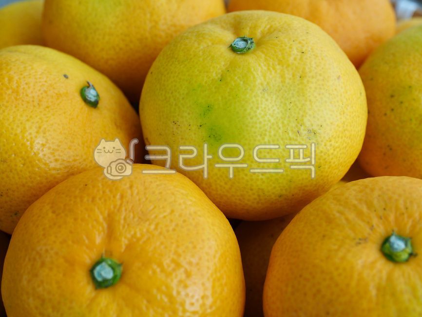 mandarin,citrus fruits,tangerine,jejutangerine,Jeju Island Specialties,fruit,yellow,food,tangerines,citrusfruit,jejuislandspecialties,background,Jeju tangerines