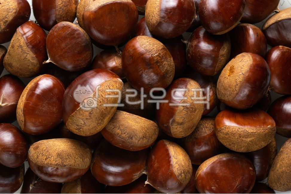 식품,음식,밤,먹는밤,알밤,곡물,chestnut,곡식,식자재,가을,food,grain,meal,열매,씨앗,견과류,신선한,간식,밤색,brown,nature,agriculture,organic,밤나무