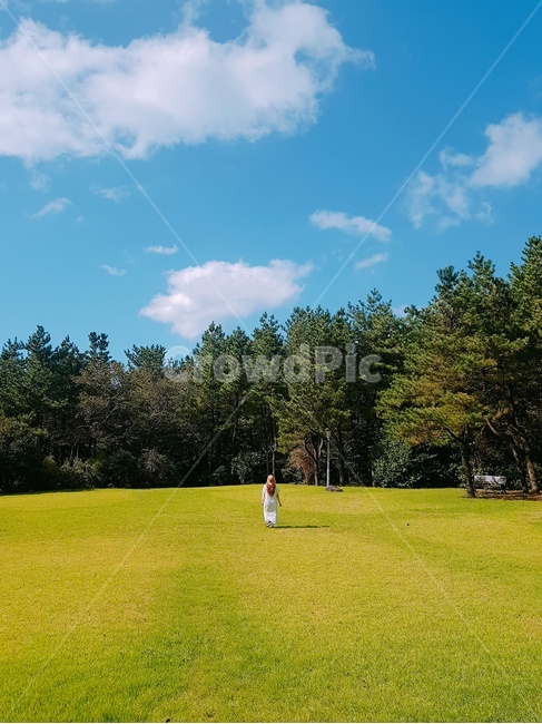 자연,숲,구름,식물,잔디,들,field,grass,plant,outdoors,human,person,인간,사람,자연,풍경,nature,landscape,옥외