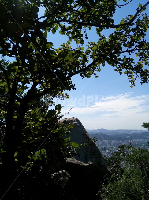 산정상,산,나무,구름,바위