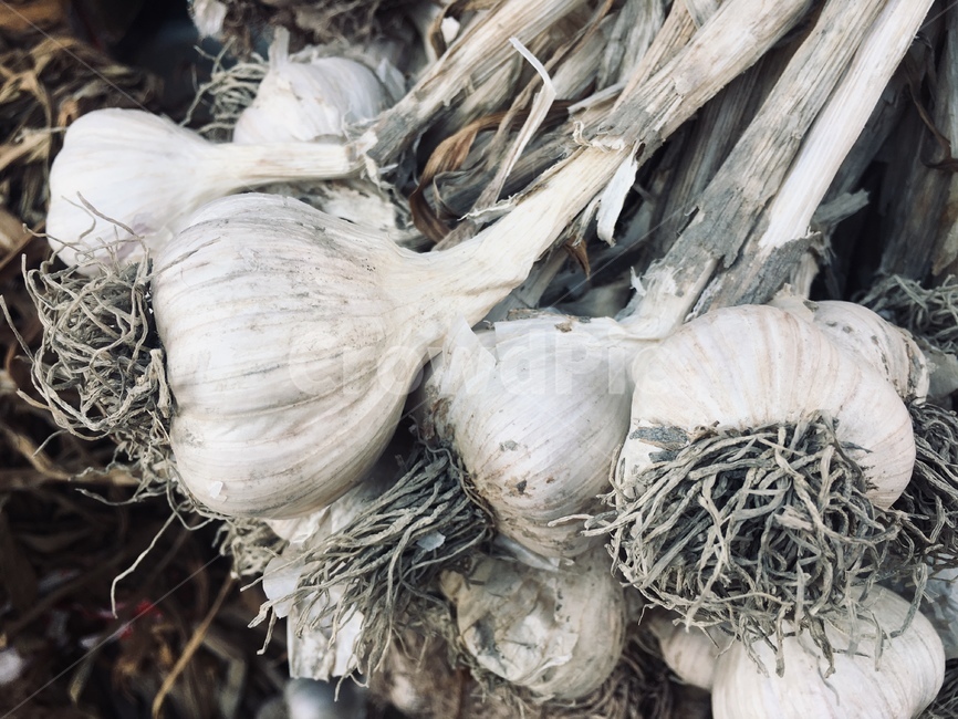 garlic,마늘,plant,식물,vegetable,야채,food,음식,음식,식재료,요리,food,cook,meal,dishes,food reserves