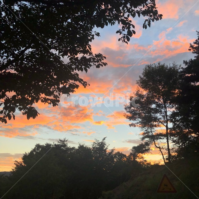 하늘,핑크,노을,하루끝,life,구름,감성,환상,자연,풍경,nature,landscape,outdoors,옥외,tree,나무,plant,식물,dusk,황혼,sunset,일몰,sky,dawn,새벽,red sky,붉은 하늘
