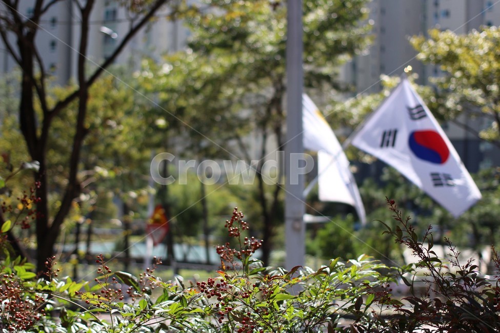 태극기,깃발,공원,아파트,flag
