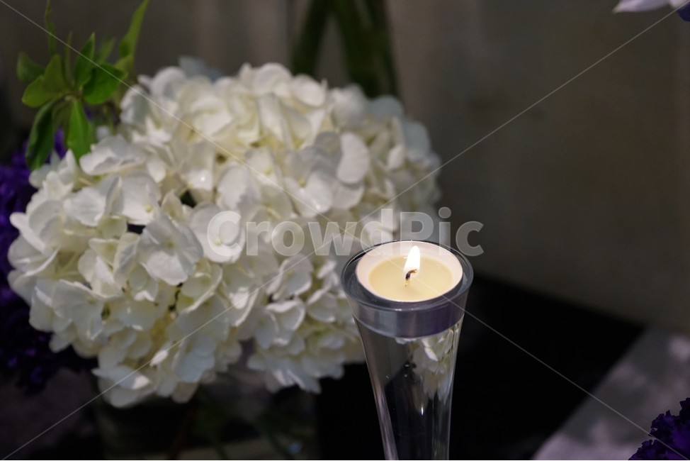결혼식장,행복,촛불,초,기원,wedding,flame,1,감성사진,결혼식,인테리어,소품,기약,집회,시위,촉화,촉하,명촉,잔촉,심지,춋블,촛농,출발,인테리어,실내디자인,interior design