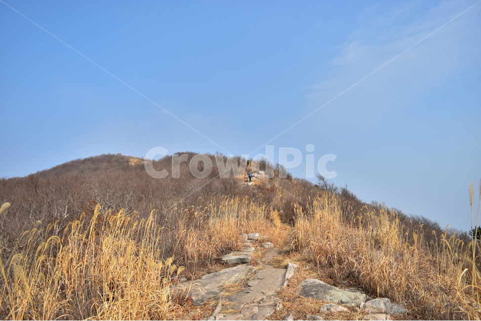 거금도,적대봉,풍경,바다,사진,섬,자연,물만내,오천리,서촌마을,김양식장,해안,힐링,감성,조망,전망,바위,봉수대,트레킹,등산,산행,비경,아름다운,절경,암릉,억새,겨울,겨울,계절,winter,season,자연,풍경,nature,landscape,한국자연풍경,한국자연경관,korea nature landscape,dirt road,흙길,gravel,자갈,road,도로,ground,바닥