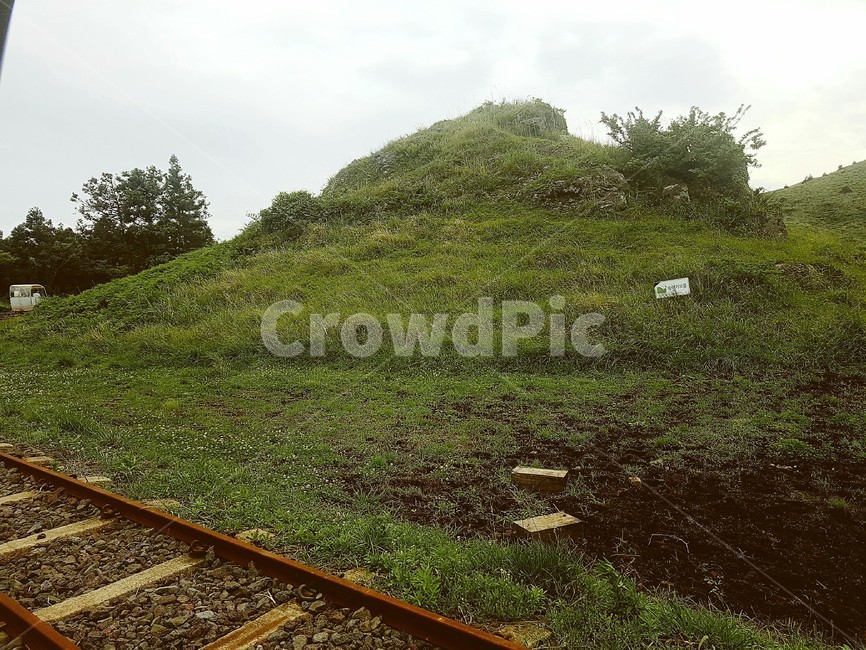 레일,rail,grass,나무레일,woodrail