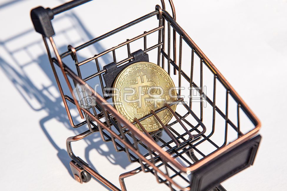 비트코인,사다,구입,쇼핑,구매하다,돈,지불,비즈니스,장보기,결제,금융,구입하다,구매,머니,장바구니,파이낸스,쇼핑카트,카피스페이스,컴퓨터,인터넷,채굴