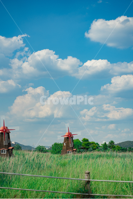 풍차,구름,하늘,언덕,여름,들판,녹색,파란색,나무,자연,풍경,nature,landscape,한국자연풍경,한국자연경관,korea nature landscape,색깔,색상,색채,색감,color sense,color sensitivity,feeling of color,outdoors,옥외