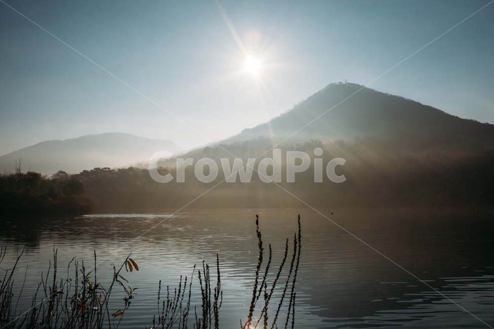 물안개,아침공원,아침햇살,연못,인천대공원,오리,홀로나무,자연,풍경,nature,landscape,outdoors,옥외,light,빛,flare,플레어,water,물