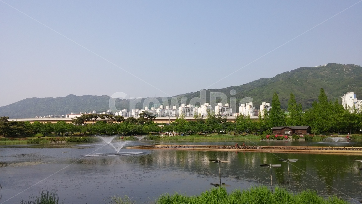 호수,연못,연지공원,김해,자연