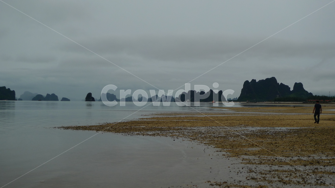 outdoors,옥외,nature,shoreline,해안선,바닷가,해변,바다,beach,sea