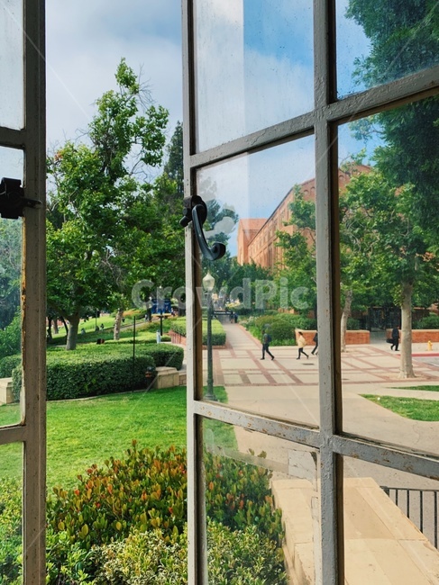 대학교,캠퍼스,봄,여름,잔디,campus,spring,summer,nature,자연