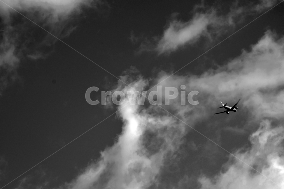 flying,나는,nature,자연,비행기,구름,하늘,흑백,모노톤,monochrome,black and white,교통,교통수단,traffic,transportation