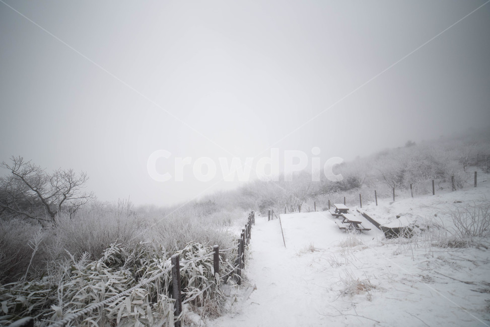 눈,snow,겨울,자연,winter,겨울,계절,winter,season