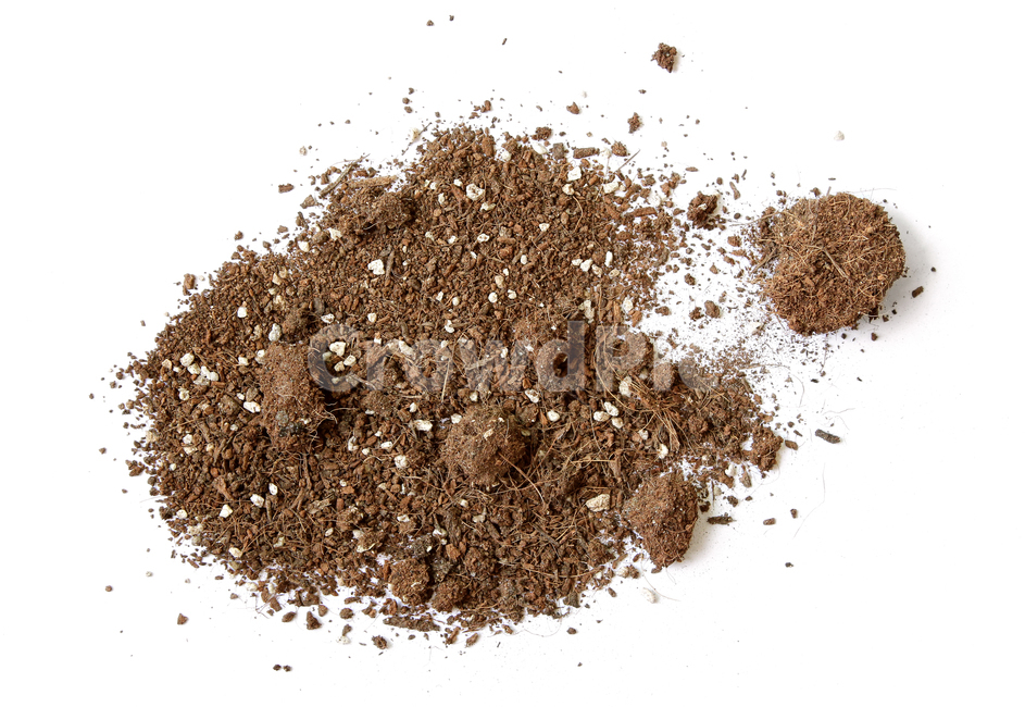 흙,모래,soil,sand,soiltexture,덩어리,탑앵글,흰배경,누끼,가루,흙가루,모래가루,갈색,브라운,텍스춰,건조한,black,botany,brown,closeup,compost,dark,dirt,dirty,dry,dust,grain,heap,humus,ingredient,macro,mineral,nobody,object,organic,path,powder,splash,spray,texture,topview,toxic,뿌린,누끼,remove background