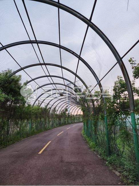 터널,garden,정원,자연,옥외