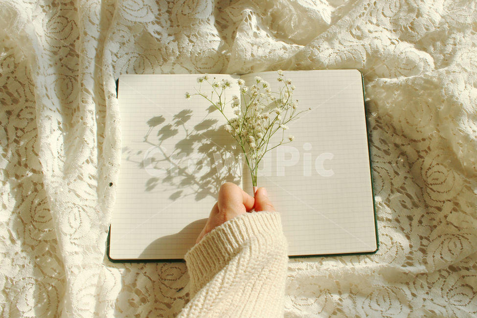 책,일기,일기장,다이어리,메모,기록,신체일부,몸,손,hand,body,diary,안개꽃,꽃,flower,레이스,꽃,flower,사람,인물,인간,human,person,신체일부,몸,body,감성,sensible,feeling,학용품,문구류,사무용품,school supplies,stationery,office supplies