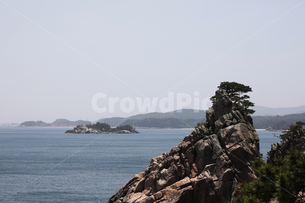 하조대,소나무,바다,동해안,바위,풍경,자연,풍경,nature,landscape,한국자연풍경,한국자연경관,korea nature landscape,promontory,곶,outdoors,옥외,cliff,낭떠러지,land,땅