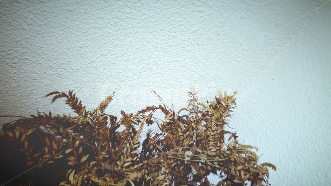 빈티지,새벽,후레쉬,명암,분위기,feeling,sensible
