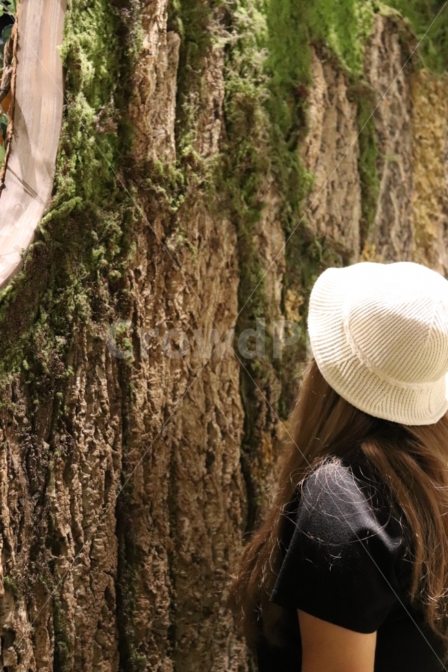 감성사진,나무,사람,모자,자연,뒷모습,여자,스냅,식물,자연,plants,nature,사람,인물,인간,human,person,여성,여자,woman,female,lady