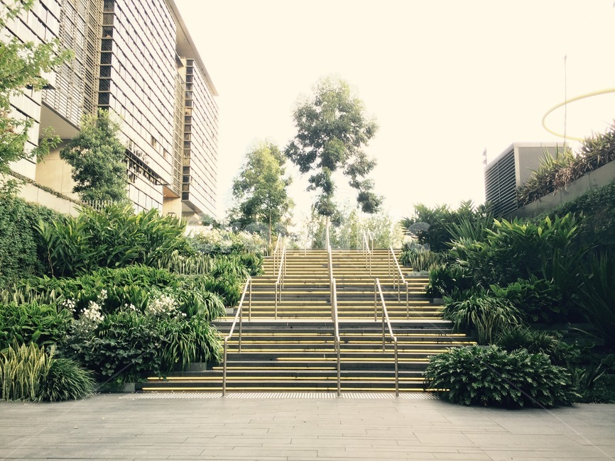 outdoors,옥외,garden,정원,landscape,design,architecture,건축물,디자인,조경디자인