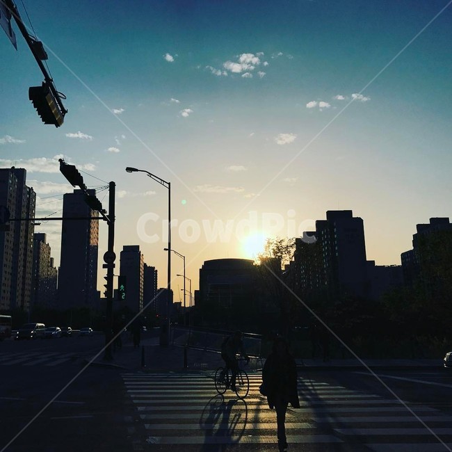 노을,하늘,역광,횡단보도,감성,스냅,도시,풍경,city,landscape,사람,인물,인간,human,person,실루엣,그림자,silhouette,shadow,asphalt,아스팔트,road,도로