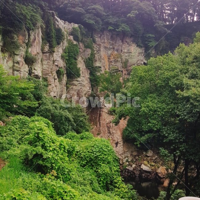 풍경,경치,풀,나무,숲,자연,풍경,nature,landscape,outdoors,옥외,cliff,낭떠러지