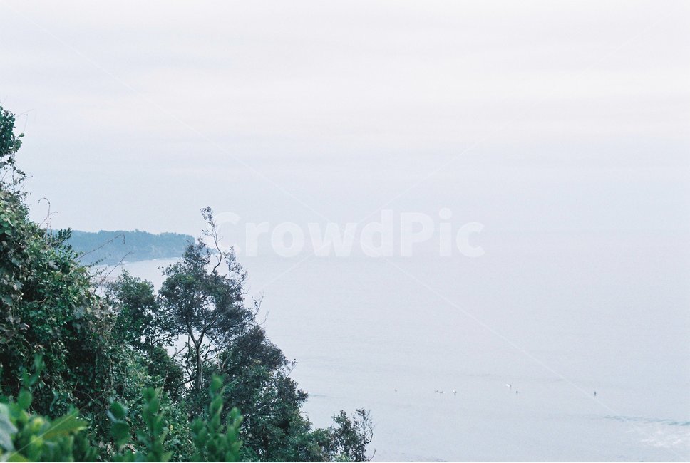 바다,나무,파도,하늘,제주도,자연,풍경,nature,landscape