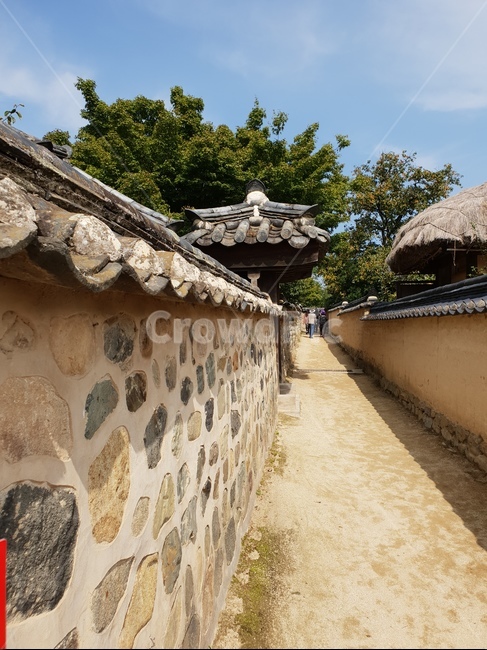 한옥,안동,하회마을,전통,길