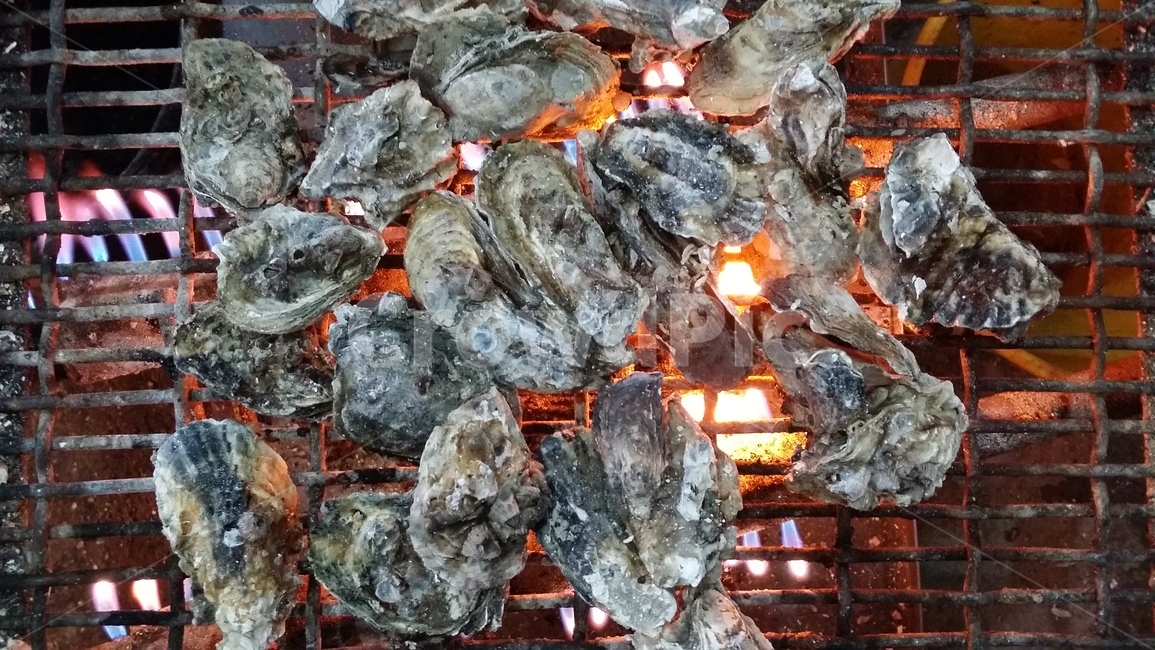 굴,굴구이,oyster,겨울음식,석화,보령굴,천북굴,음식,신선,통영,보령,굴회,통영굴,dishes,meal,fishery,조개,products,seafood