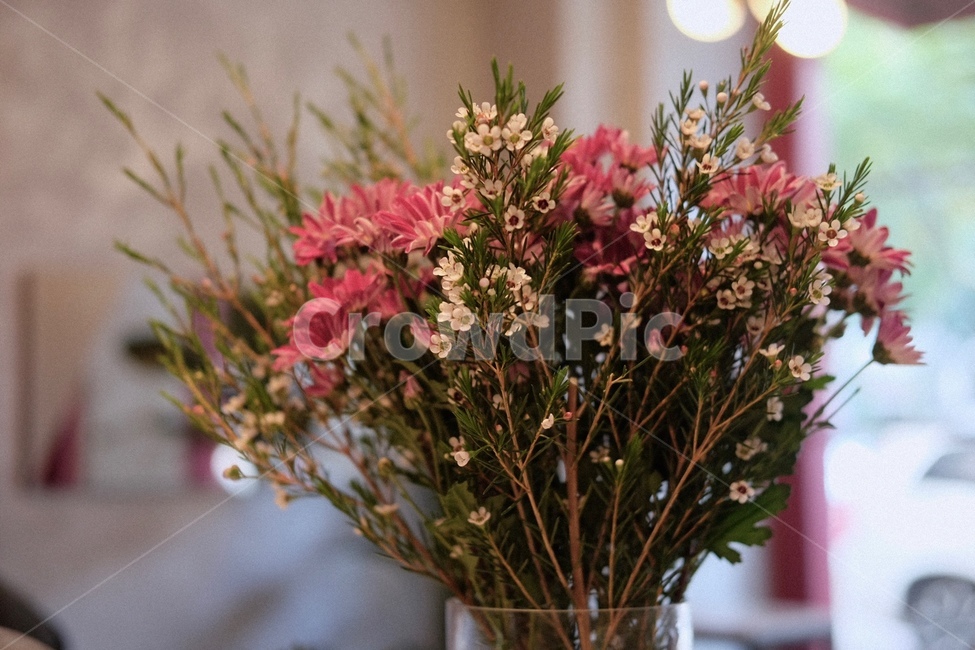 꽃,자연,식물,감성사진,유리병,식물,자연,plants,nature,꽃,flower,실내용화초,화분,화초,house plant,인테리어,실내디자인,interior design