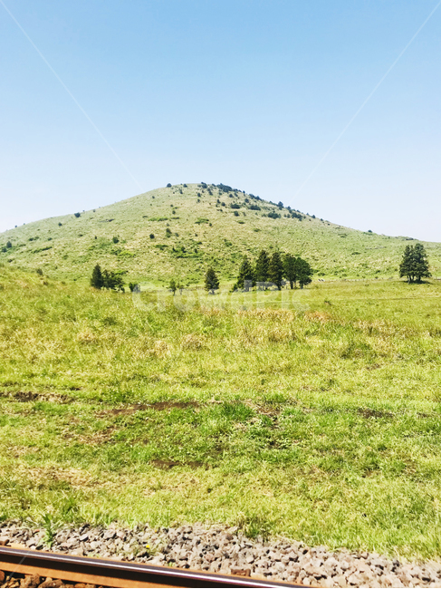 들판,제주,푸르름,언덕,힐링,나무,하늘,기찻길,자연,풍경,nature,landscape,outdoors,옥외,hill