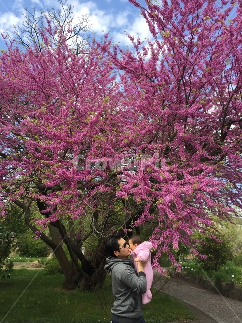 꽃,flower,person,human,plant,가족,패밀리,family
