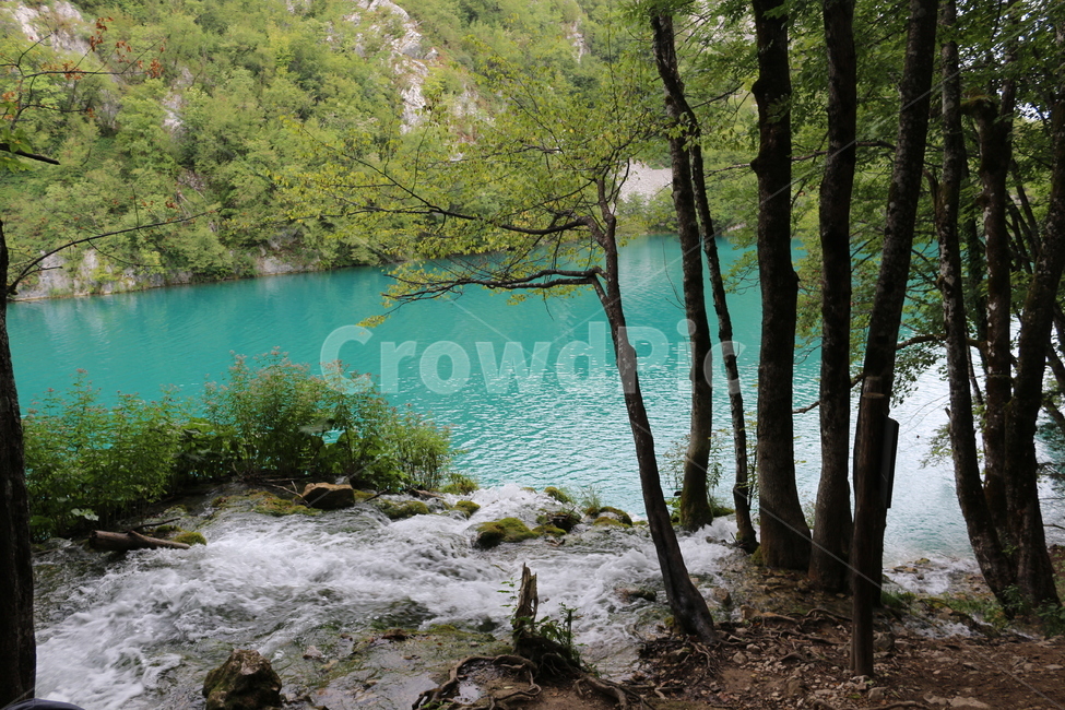 크로아티아,크로아시아,플리트비체,croatia,plitvice,plitvica,국립공원,공원,폭포,숲,요정숲,연못,강,호수,나무,여름,유럽,waterfall,pond,lake,park,tree,forest,자연,풍경,nature,landscape
