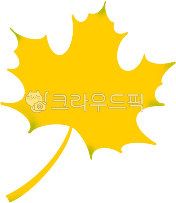 tree branch,tree,maple tree,autumn tree,autumn,maple,maple leaf,fall